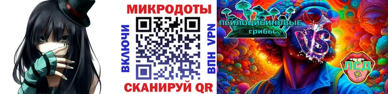 Купить закладки  Невель  Галлюциногенные грибы GOLDEN TEACHER 