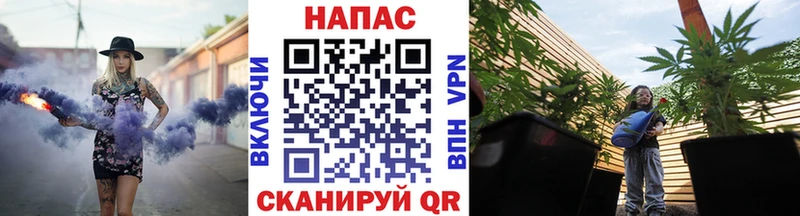 Купить где Невель Конопля планчик